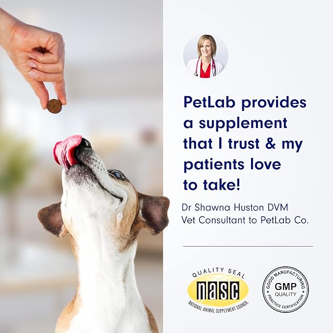 PetLab Co. Itch Relief Chews - Support for Dry, Occasionally Itchy Skin & Coats - Formulated with Turmeric, Omega 3 & 6, Honey - Packaging May Vary