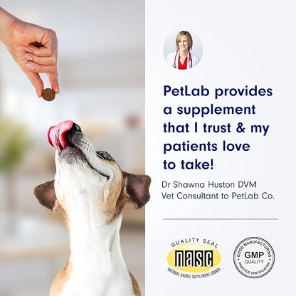 PetLab Co. Itch Relief Chews - Support for Dry, Occasionally Itchy Skin & Coats - Formulated with Turmeric, Omega 3 & 6, Honey - Packaging May Vary