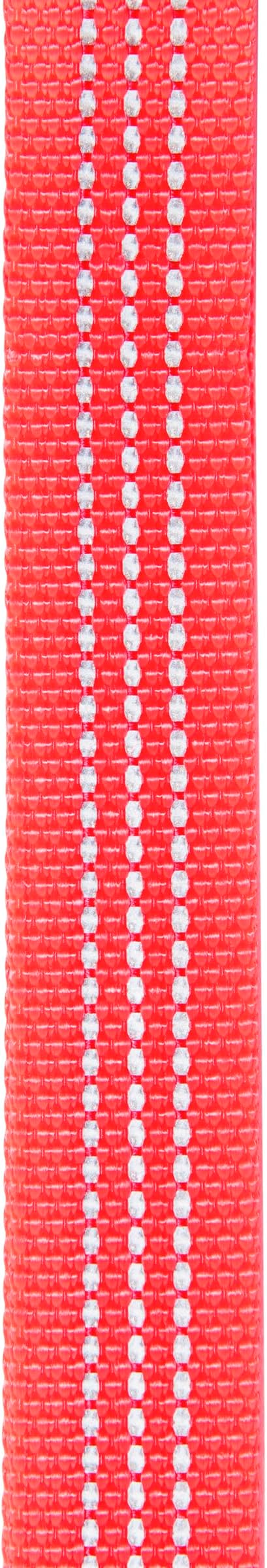 Carhartt Fully Adjustable Nylon Webbing Collars for Dogs, Reflective Stitching for Visibility, Coral Glow (Nylon Webbing), Large