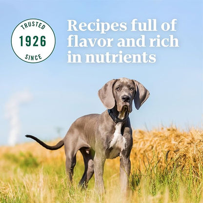 NUTRO NATURAL CHOICE Large Breed Puppy Dry Dog Food, Lamb & Brown Rice Recipe Dog Kibble, 30 lb. Bag