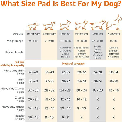 Amazon Basics Dog and Puppy Pee Pads with Leak-Proof Quick-Dry Design for Potty Training, Heavy Duty Absorbency, Regular Size, 24 x 23 Inches, Pack of 50, Blue & White