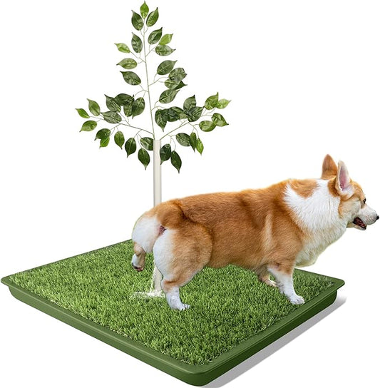 Dog Grass Pad with Tray - 2 Pack Replaceable Artificial Grass Puppy Training Pad(No Clips), Quick Absorbent Indoor Portable Potty, Washable Pee Pad for Puppy - Pet Training Solution Green
