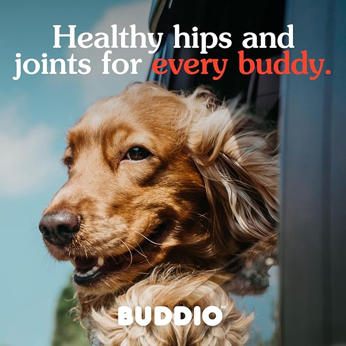 Advanced Hip & Joint Dog Supplement – High-Potency Glucosamine, Fish Oil, Vitamin E, Manganese – Tasty Chicken Liver Flavored Soft Chews, 90 Count – Vet Recommended for Enhanced Mobility