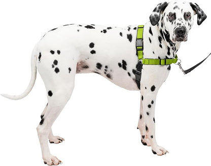 PetSafe Easy Walk Deluxe Dog Harness, No Pull Dog Harness – Perfect for Leash & Harness Training – Stops Pets from Pulling and Choking on Walks – Large, Apple