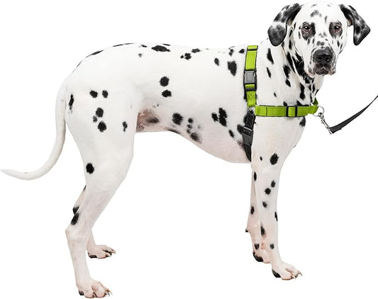 PetSafe Easy Walk Deluxe Dog Harness, No Pull Dog Harness – Perfect for Leash & Harness Training – Stops Pets from Pulling and Choking on Walks – Large, Apple
