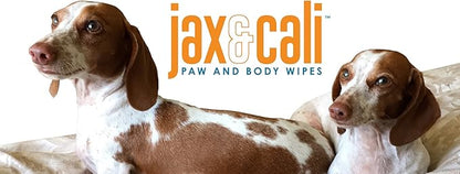 JAX & CALI Pet Wipes, Natural Textured Paw and Body Wipes, Hypoallergenic, pH balanced, Vitamins B3 & E, Soothing Aloe, No Fragrance, Holistic, Cruelty Free, Dogs & Cats, Extra Large 8"x10", 20 Wipes