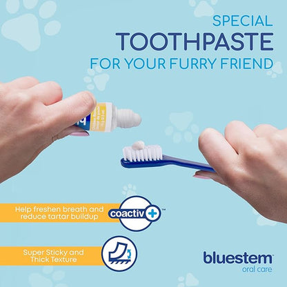 Bluestem Dog & Cat Toothbrush and Toothpaste Kit - Dog and Cat Toothpaste with Coactiv+ Technology to Reduce Tartar Buildup - Sticky and Long-Lasting Cat and Dog Toothpaste - Chicken Flavor