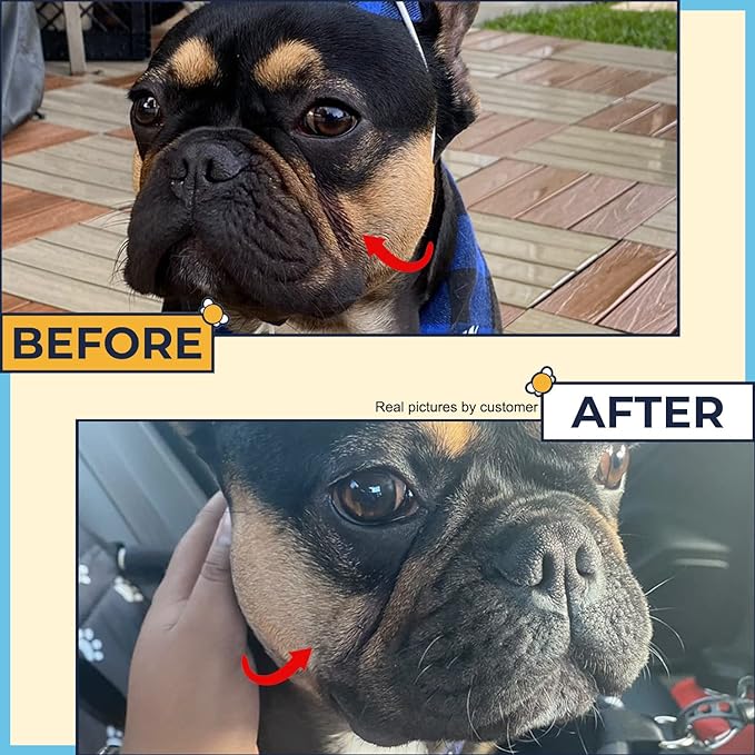 Wrinkle Wipes for English Bulldog,French Bulldog,Pug(Alcohol Free)- Dog Face Wipes For Wrinkles,Tail Pockets- Wrinkle Wipes Frenchie Bulldog. Say Bye to Rash Using It With Wrinkle Paste For Bulldogs