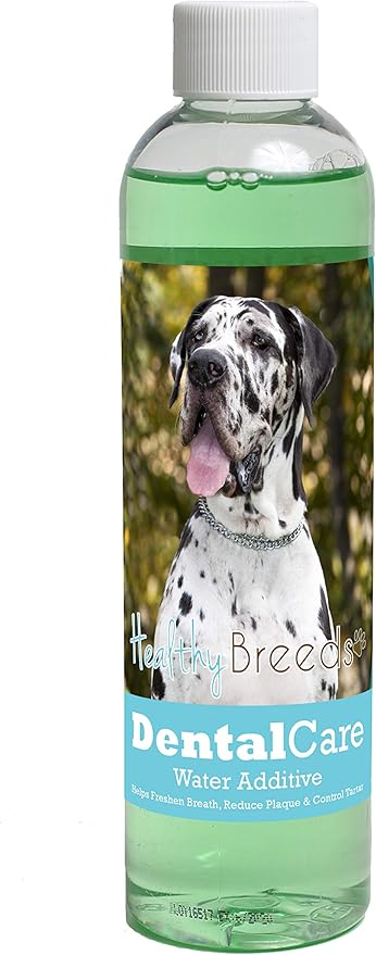 Healthy Breeds Dog Dental Care Water Additive for Great Dane - Helps Freshen Breath, Reduce Plaque & Control Tartar - Mint Flavor - 8 oz
