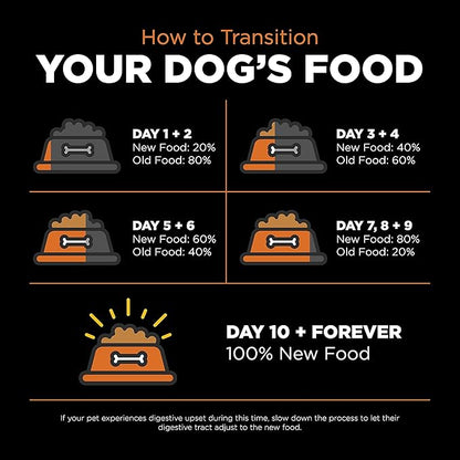 GO! SOLUTIONS Skin + Coat Care - Dry Dog Food, 22 lb - Salmon Recipe with Grains for All Life Stages - Complete + Balanced Nutrition for Dogs