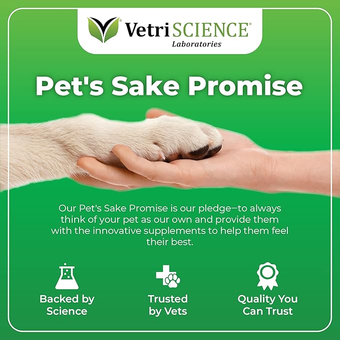 VetriScience Derma Strength Healthy Skin and Coat Chews with Omega 3, 6 and 9 for Dogs, 70 Chews - Can Reduce Shedding and Support Skin Health