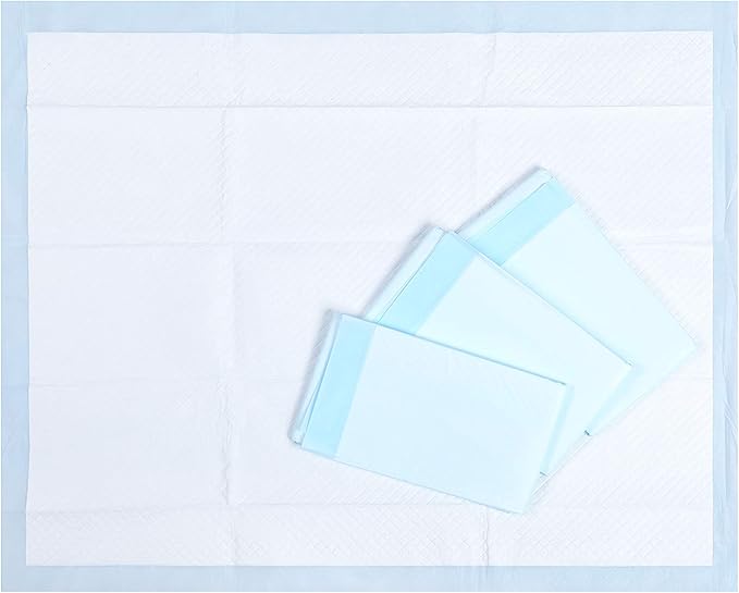 HONEY CARE All-Absorb, XXL 30"x36", 30 Count, Dog and Puppy Training Pads, Ultra Absorbent and Odor Eliminating, Leak-proof 5-Layer Potty Training Pads with Quick-dry Surface, Blue, A39