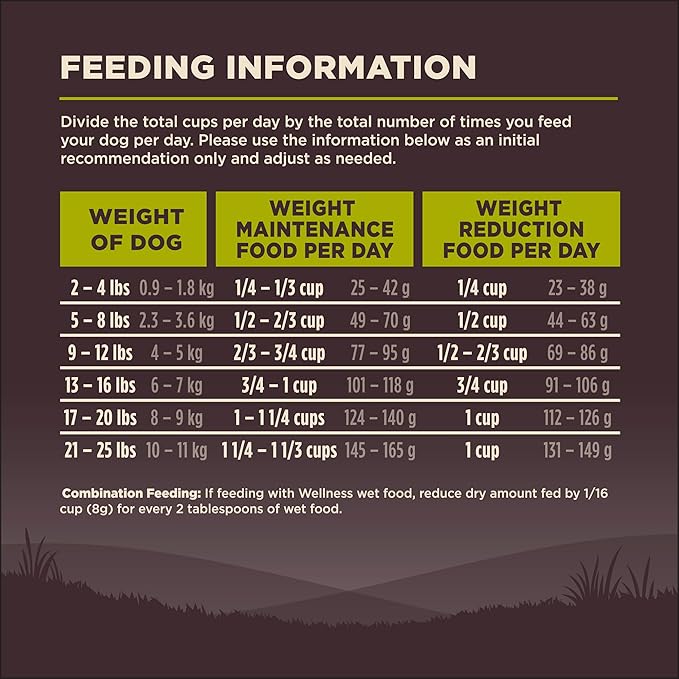 Wellness Natural Pet Food CORE Grain-Free High-Protein Small Breed Dry Dog Food, Natural Ingredients, Made in USA with Real Meat (Adult, Healthy Weight, 12-Pound Bag)
