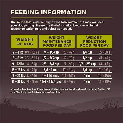 Wellness Natural Pet Food CORE Grain-Free High-Protein Small Breed Dry Dog Food, Natural Ingredients, Made in USA with Real Meat (Adult, Healthy Weight, 12-Pound Bag)