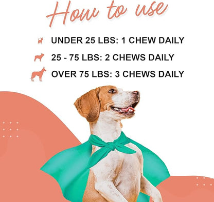 Skin & Coat Supplement for Dogs with Salmon Oil, Omega 3 & 6, EPA & DHA, Promotes Healthy Skin and Coat, Itchy Relief, Joint and Overall Health, Delicious Flavor, 70 skin & coat Soft Chews