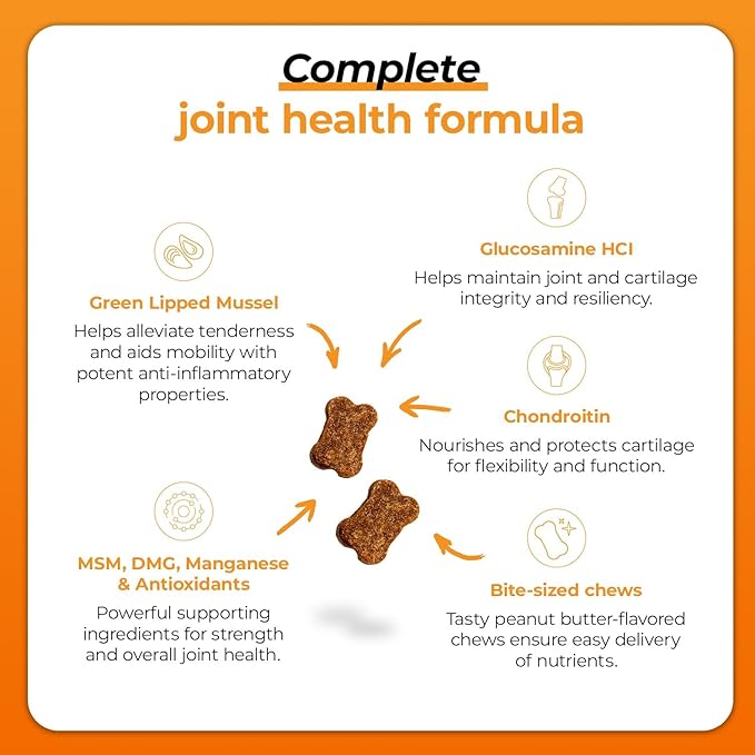 VetriScience GlycoFlex Plus Hip and Joint Supplement for Dogs – Extra-Strength Joint Support Chews with Green Lipped Mussel, Chondroitin, and Glucosamine for Dogs
