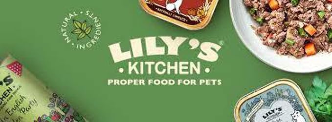 LILYS Kitchen Venison Complete Dry Dog Food, 1 KG