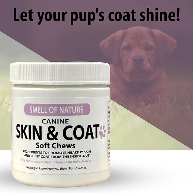 Dog Skin & Coat Supplement Chews - Skin Health Chewable Supplement for All Ages & Breeds - Promotes Healthy Skin & Lustrous Coat - Rich in Omega Fatty Acids & Vitamins – 60 Chews