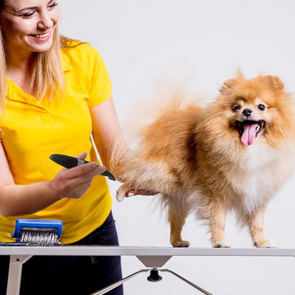 Dog Clippers, Cordless Cat and Small Dogs Clipper, Low Noise Electric Pet Trimmer, Dog Grooming Clippers for Trimming The Hair Around Paws, Eyes, Ears, Face, Rump …