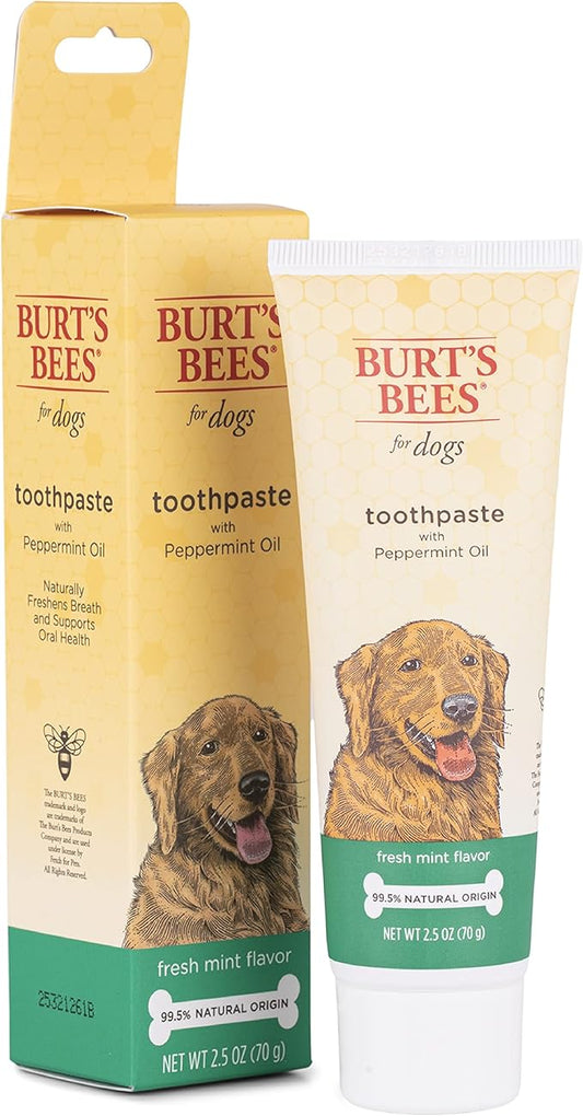 Burt's Bees for Pets Toothpaste with Honeysuckle and Peppermint Oil, in Fresh Mint Flavor - Dog Toothpaste Mint Flavor with 99.5% Naturally Derived Formula, Best Dog Toothpaste, 2.5 oz