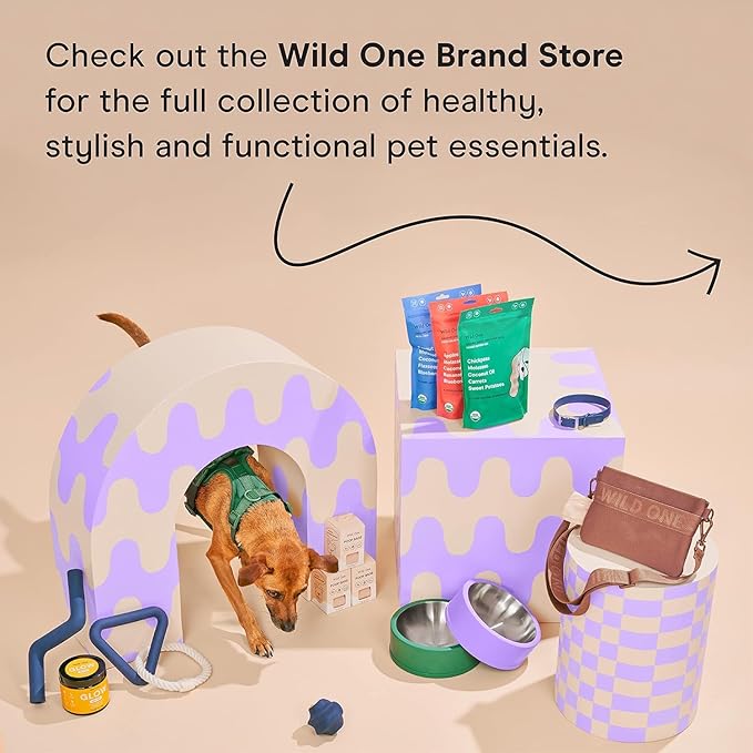 Wild One Dog Poop Bag Holder and Dispenser with Leash Attachment, Leak Proof, Easy Twist Top for Refills, Includes 1 Box Poop Bags, Navy