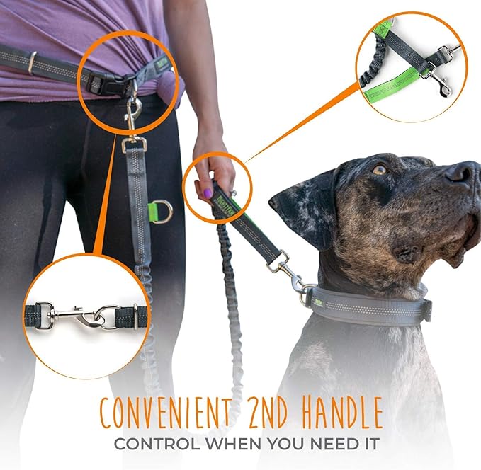 Mighty Paw Hands Free Dog Leash | Bungee Waist Leash for Dog Walking. Dog Running Leash Hands Free. Hands Free Leash for Large Dogs, Medium & Small Dogs. Dog Leash Waist Belt (36" - 48") Up To 150 lbs