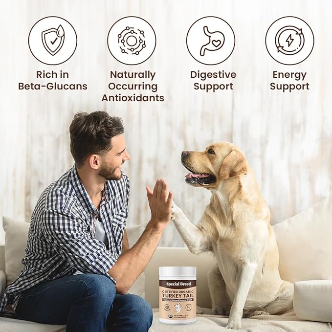 Turkey Tail Mushroom for Dogs and Cats - Certified Organic Turkey Tail Powder, Canine Immune Support, 200 Grams