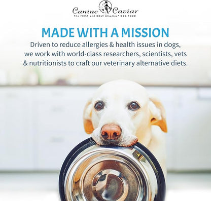 Canine Caviar Open Sky Dog Food – Limited Ingredient Alkaline Holistic Dog Food – All Life Stages – Gluten Free, Ultra-Premium Dog Food – Healthy Skin & Coat – Duck & Quinoa – 22 lbs