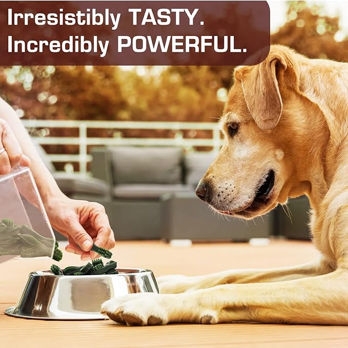 UrbanX HealthyBones Original Natural Dog Dental Care Mint Snacks Oral Health Dog Food for Australian Shepherd Pit Bull Mix and Other Large Mixed Breed Dogs, 60 Count