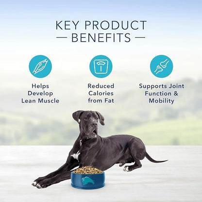 Blue Buffalo Life Protection Formula Natural Adult Large Breed Healthy Weight Dry Dog Food, Chicken and Brown Rice 34-lb