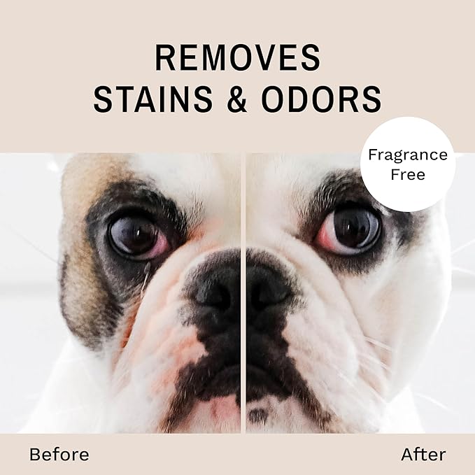 Eye Envy Bulldog Wrinkle Wipes | Wrinkle Wipes for French Bulldog, Pug, English Bulldog | Cleans Wrinkles, Bulldog Tail Pockets | Removes stains and odors | Natural, fragrance free wipes | 60 count