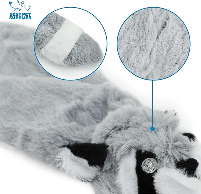 Best Pet Supplies Stuffing Free Squeaky Dog Toys for Small Dogs, Medium Dogs, and Large Dogs, Durable, Best Dog Chew Toy for Teething Puppy, Indoor Play - Raccoon, Small
