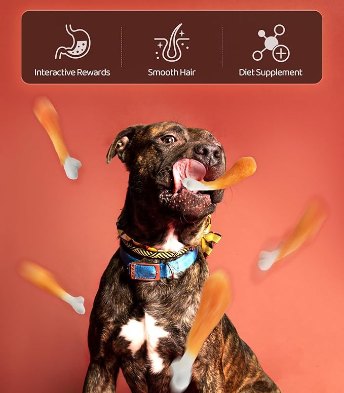 16OZ Dog Chewy Treats, Chicken with Calcium Bone Teeth Clean Training Snacks,Chewy Snacks Dog Treats for Small Medium Large Dogs