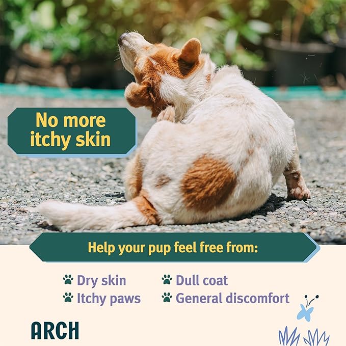 Arch Skin & Coat Dog Treats | Omega-Rich, Hypoallergenic, Made in The USA, Gluten-Free, Eco-Friendly | High Protein, Natural High Value | Sensitive Stomach Approved | Itch Relief, Healthy Coat Support
