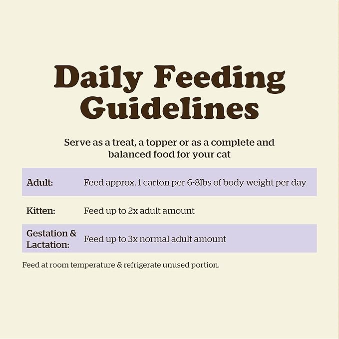 Now Fresh Grain Free Wet Cat Food, 6.4 oz - Wild Salmon Pâté with Bone Broth for Cats - Real Fish for Protein