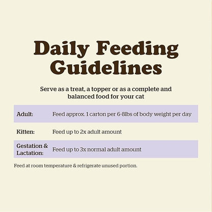 Now Fresh Grain Free Wet Cat Food, 6.4 oz - Wild Salmon Pâté with Bone Broth for Cats - Real Fish for Protein