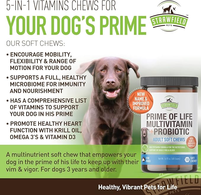 Strawfield Pets Dog Multivitamin + Dog Probiotics Soft Chews | Glucosamine Chondroitin, Probiotics, Omega 3 | Dog Supplements & Vitamins | Dog Health Supplies | 120 Grain Free Chews, USA