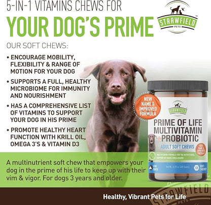 Strawfield Pets Dog Multivitamin + Dog Probiotics Soft Chews | Glucosamine Chondroitin, Probiotics, Omega 3 | Dog Supplements & Vitamins | Dog Health Supplies | 120 Grain Free Chews, USA