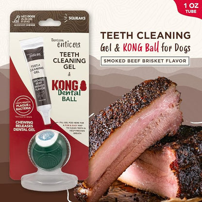TropiClean Enticers Kong Dental Ball Kit for Medium Dogs | Teeth Cleaning Gel | Smoked Beef Brisket Flavor | 1 oz.