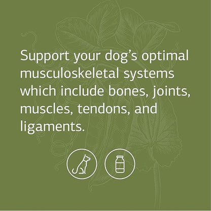 Standard Process - Canine Musculoskeletal Support - 4.2 Oz