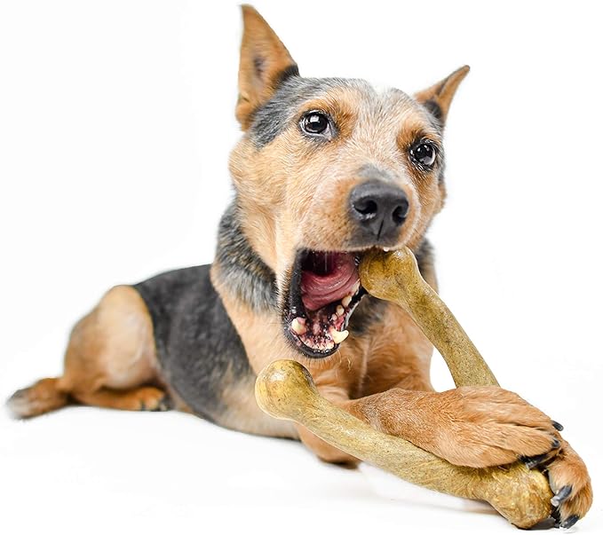 Pet Qwerks Wishbone BarkBone - Nylon Chew Toy for Aggressive Chewers - Peanut Butter Flavor - 8.25"