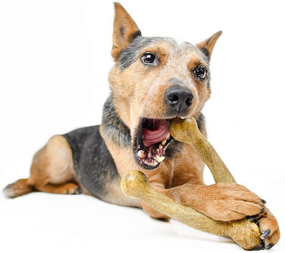Pet Qwerks Wishbone BarkBone - Nylon Chew Toy for Aggressive Chewers - Peanut Butter Flavor - 8.25"