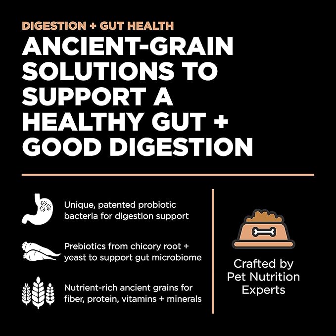 GO! SOLUTIONS Digestion + Gut Health Salmon Recipe with Ancient Grains for Dogs, 12 lb Bag - Dry Food for All Life Stages, Including Puppies, Adult and Senior Dogs