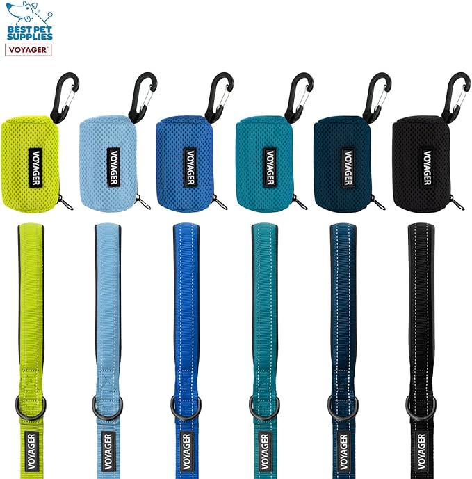 Best Pet Supplies 2-Pack Dog Poop Bag Holder Leash Attachment, Color, Reusable Mesh Dispenser Pouch for Travel, Walking, Park, and Outdoor Use, Soft and Durable with Clip-On - Mesh Orange