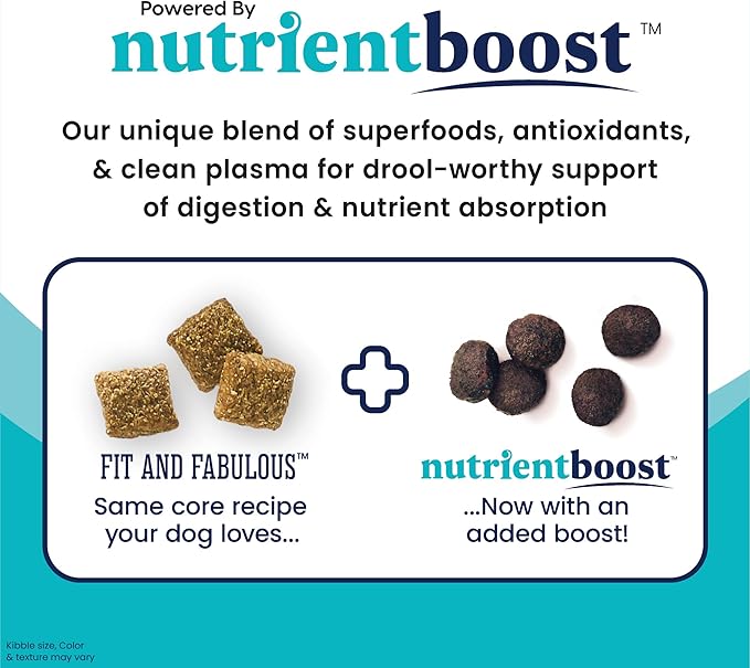 Solid Gold Nutrientboost Fit and Fabulous Dog Food - Dry Dog Food for Weight Control - Digestive Probiotics for Dogs - Grain & Gluten Free - High Fiber & Low Fat - Superfoods & Antioxidants - 22 LB