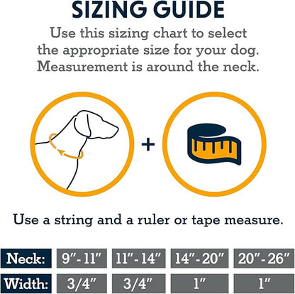 Ruffwear, Hi & Light Dog Collar, Minimal and Ultralight Collar for Everyday Walks and Runs, Alpenglow Pink, 9"-11"