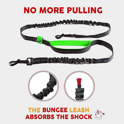 Exquisite Hands Free Double Dog Leash for Small Dogs | Dual Dog Leash | Two Dog Leash No Tangle | Multiple Dog Leash for 2 Dogs | Double Leash | Leash Splitter | Double Clip Leash Coupler