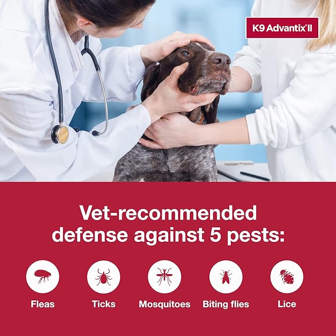 K9 Advantix II XL Dog Over 55 lbs & K9 Advantix II Large Dog 21-55 lbs Vet-Recommended Flea, Tick & Mosquito Treatment & Prevention | 1-Mo Supply Each