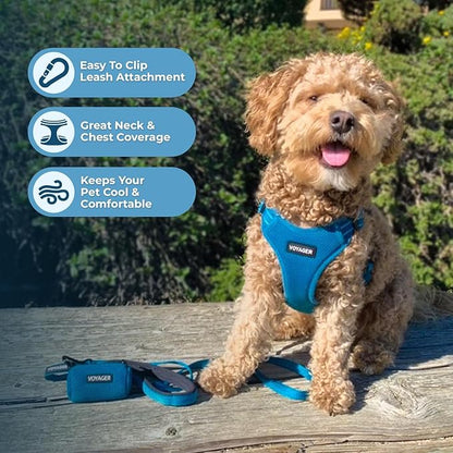 Best Pet Supplies Voyager Adjustable Dog Harness Leash Set with Reflective Stripes for Walking Heavy-Duty Full Body No Pull Vest with Leash D-Ring, Breathable All-Weather - Harness (Turquoise), XL