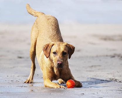 Chuckit! Fetch Toys for Dogs - Whistler, Glow and Rebounce Balls Plus Ultra Fetch Stick